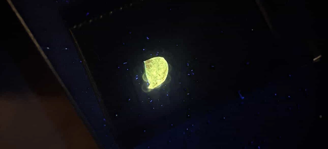 copper borate glass after electron beam exposure
